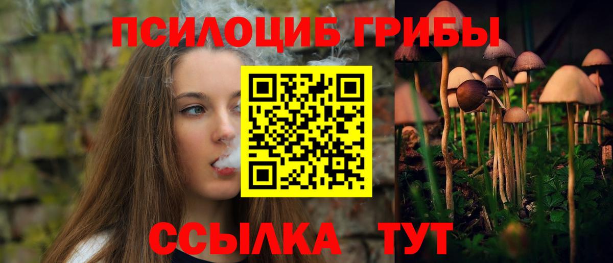 Псилоцибиновые грибы прущие грибы  Вход с VPN  Тында 