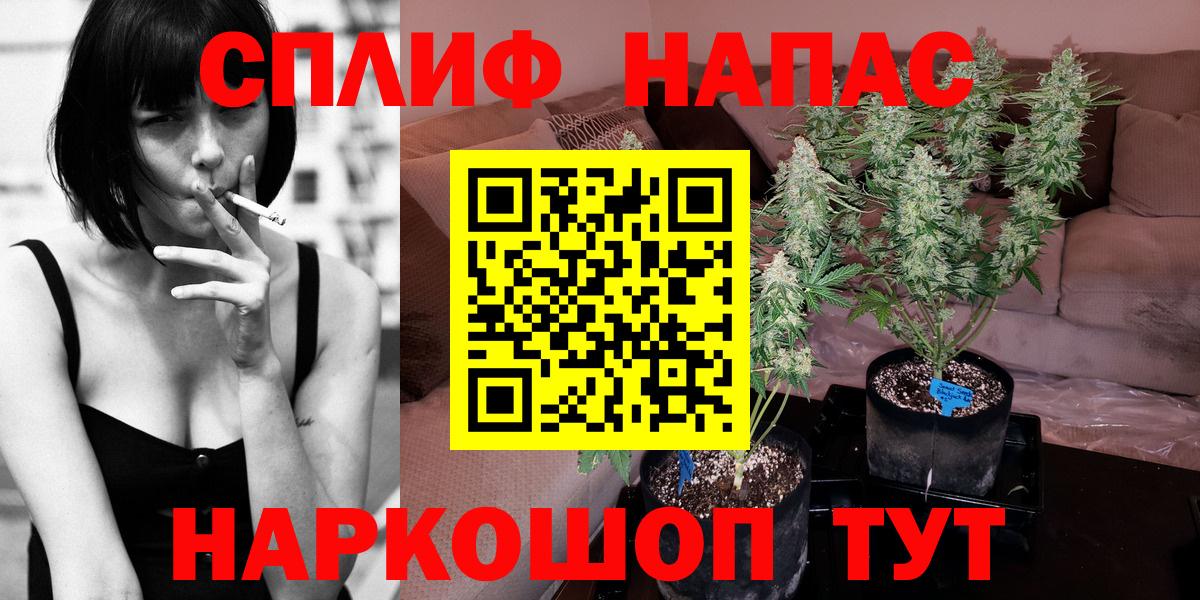 Конопля Amnesia  Вход с VPN  Конопля планчик  Тында  Марихуана LSD WEED 